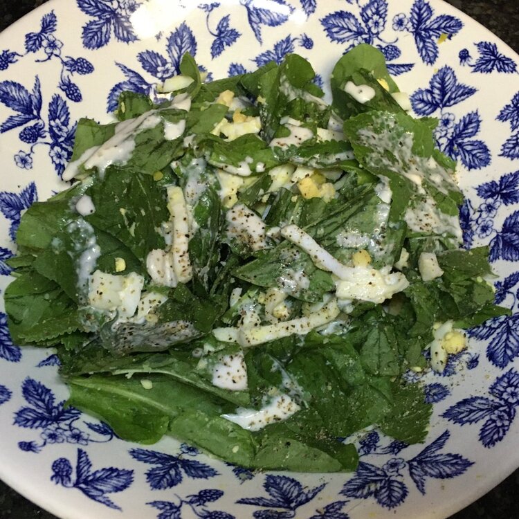 dinner.jpg