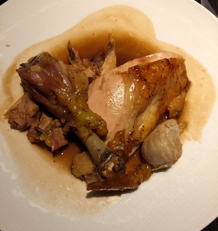 LeCoqRico14bird2016_03_192867.thumb.JPG.8db682cfbeaf2a9c1d37d681b3cc1296.JPG
